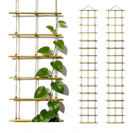 Natural Bamboo Ladder Plant Trellis 79 in L x 12 in D Ideal for Climbing Plants, Providing Reliable Support Suitable for Outdoor Walls, Gardens, patios, and Similar (2, M)