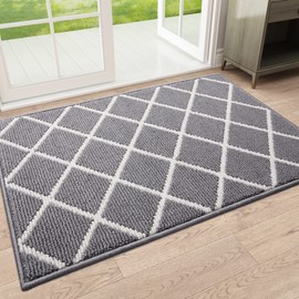 Finchitty Indoor Door Mat, Non-Slip Absorbent Resist Dirt Entrance Mat, Washable Mats for Entryway, Low-Profile Inside Floor Doormat, 36" x 24", Grey