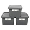 Jolie Max Plastic Storage Boxes with Lid, 3 Set of
