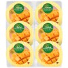 Kanazawa Kenroku Seika MP-6 Mango Pudding 6 Pieces 11.1 oz