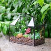 Large Glass Terrarium House Planter – Succulent Plant Glass Greenhouse
