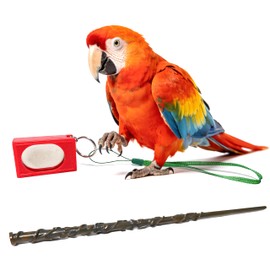 NICERINC PET Parrot Training Clicker with Target Stick, Getting Started Bird Clicker Training Kit, All Bird Breeds Training Stick Foster Discipline and Behavior Training, for Parrots Birds Lovers
