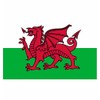 Welsh Dragon National Flag - Multi-Colour