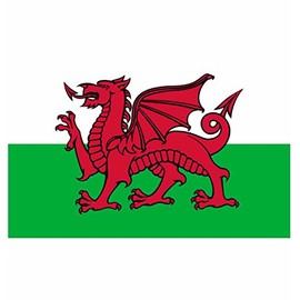 Welsh Dragon National Flag - Multi-Colour