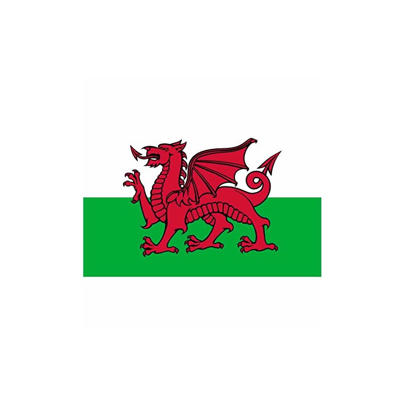 Welsh Dragon National Flag - Multi-Colour
