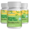 Charm Goods 레몬버베나 추출물 복합정 120정 3통 Lemon Verbena Extract