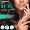 UpNature UpNature Tea Tree Essential Oil Bundle C Tea Tree Oil Roll On & Relaxation Gift Set C On-The-Go Aromatherapy Travel Essentials