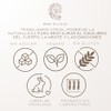 PHI FUNGI | Phungestive | Extracto de Cola de Pavo