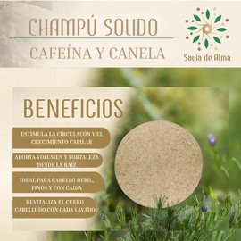 Savia De Alma Festes Shampoo, natürliche Feuchtigkeit mit beruhigendem Duft, vegan und handgefertigt, häufiger Gebrauch, 90 g (Koffein und Zimt)