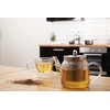 Premier Housewares High Borosilicate Teapot, with Strainer, 650 ml, 12