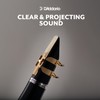 D'Addario Clarinet Reeds (RDA1025)