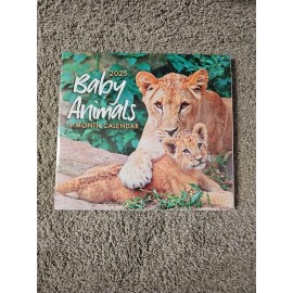 Baby Animals | 16 - Month 2025 Calendar