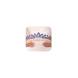 Wekicici Tiara de cristal, diadema de cristal para reina princesa, corona de diamantes de imitación, corona de desfile, diadema de novia, novia, boda, graduación, fiesta de cumpleaños, accesorios para el cabello para mujeres y niñas (estilo 2)