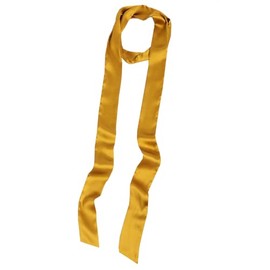 BACKGARDEN Gold Women 200cm Long Satin Sash Belts for Wedding Bridal Bridesmaid Dress Accessories