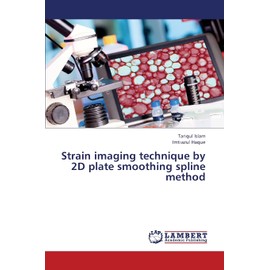 Strain imaging technique by 2D plate smoothing spline method