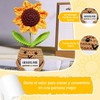 ZHANAM Mini Girasol de Punto Divertida, Regalos de Graduación 2025,