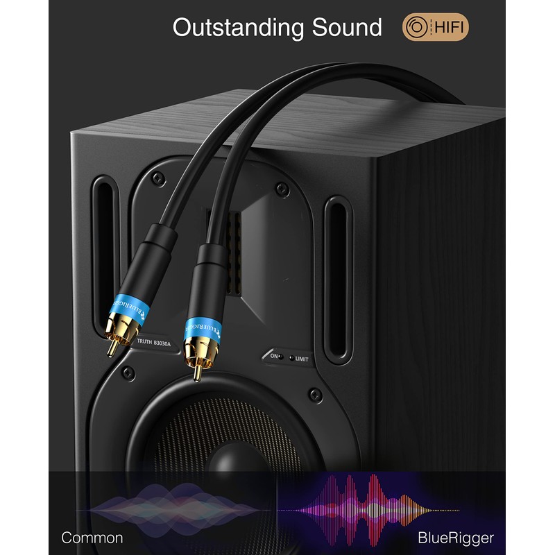 BlueRigger RCA Audio Subwoofer Cable (8FT/2pack, Dual Shielded, Gold Plated