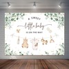 Joliaco Clothes Baby Shower Backdrop Green Eucalyptus Baby Shower Background