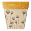 SOW 'N SOW Gift of Seeds - different styles, Poppy