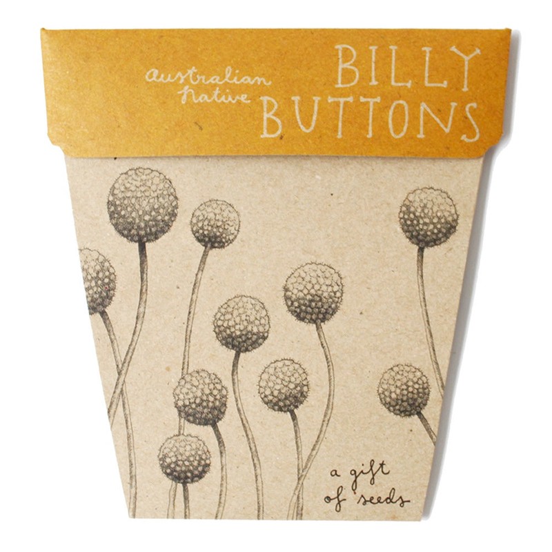 SOW 'N SOW Gift of Seeds - different styles, Poppy