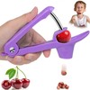 Cherry Pitter Tool for Kids, Olive Pitter Tool, Cherry Pitter
