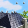 Scene Collection Pigeon Model Pigeon Model 1:75 24 Pieces Model