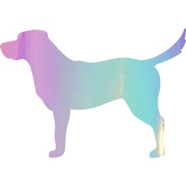 NBFU Decals Labrador Dog Animal Lover 1 (Holographic Opal Purple) (Set of 2) Premium Waterproof Vinyl Decal Stickers for Laptop Phone Accessory Helmet Car Window Bumper Mug Tuber Cup Door Wall