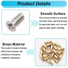 Bemaka 502PCS Computer Screws Assortment Kit, Motherboard Standoffs PC...