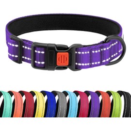 CollarDirect Collar reflectante para perro para perros pequeños, medianos, grandes o cachorros con hebilla de liberación rápida, para niños y niñas,