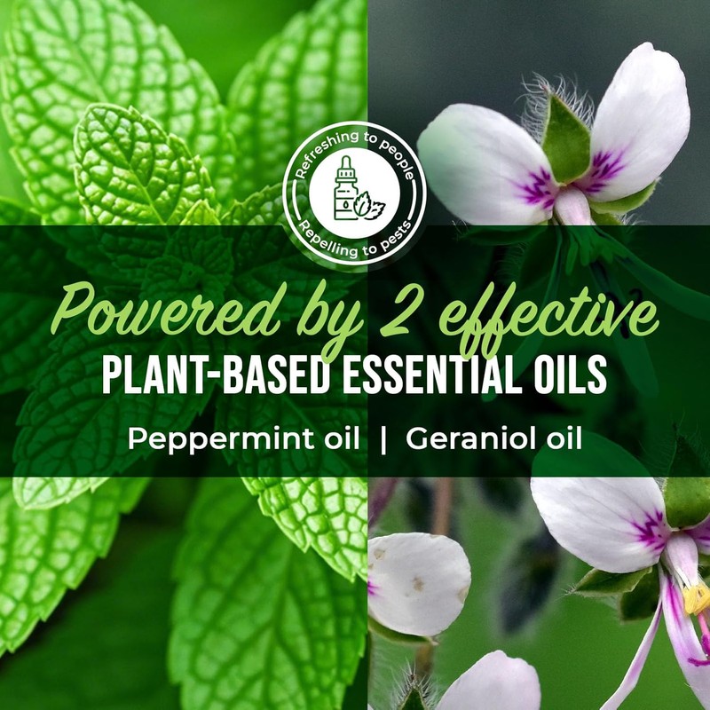Mighty Mint Peppermint Oil Spider Repellent Spray with Microfiber Cloth