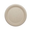 100% Compostable Plates by World Centric, Made from Ubleached Plant Fiber, 9" Plates (Pack of 1000)