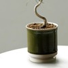 Leaf88 Made in Japan Flowerpot with Saucer, 4.1 x 4.5