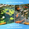 WARMOASIS Compatible with Aquascape IonGen G2 Replacement Probe,Black/Copper,5ft Quick Connect