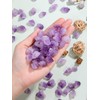 JOVIVI Amethyst Crystal,Raw Crystals Amethyst Crushed Stone,Natural Healing Crystals Gemstones