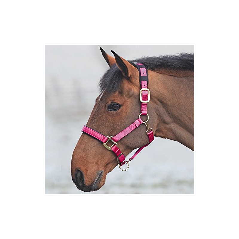 Shires Topaz Nylon Headcollar-Raspberry Full
