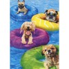 Avanti Press Dogs Floating in Colorful Innertubes in Pool Funny/Cute