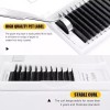 Masscaku Paquete De Extensiones De Pestañas Masscaku 3d Clover Fan