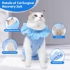 Cat Recovery Suit Cat Onesie for Cats After Surgery Female,