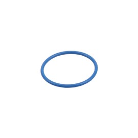 GM Genuine Parts 12645181 Fuel Pump Housing O-Ring Seal