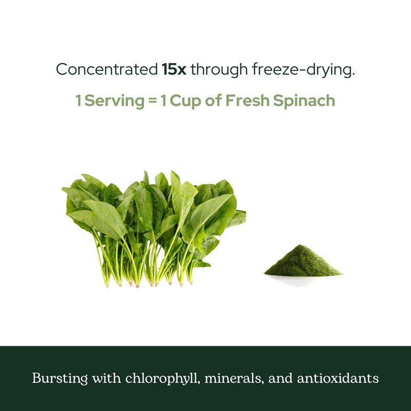 Eclectic Herb - Spinach Powder Supplement | Nutritional Support, Vitamins