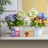 pechpell Spring Signs For Home Decor, 6 Pieces Wooden Spring