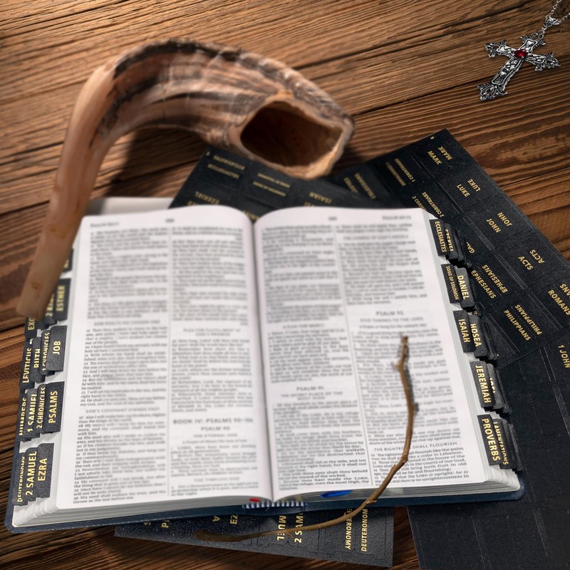 Erilano Bible Tabs for Women and Men, Leather Paper Bible