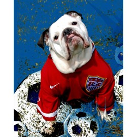 English Bulldog Greeting Card various choices full photo cards + envelope