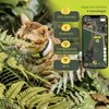 KIPPY - Cat GPS Tracker Kippy CAT COLOR - Locator