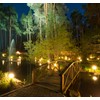Diximus Landscape Light Bulbs - 20 Pack - 12v Light