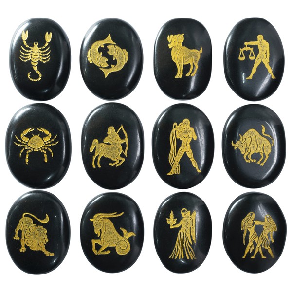 Crocon Black Agate Zodiac or Horoscope Symbol Reiki Healing Gemstone Love Crystal Sunsign Engraved Stones (Set of 12)