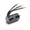 Spektrum Accessories Firma 3660 3100Kv 4 Pole Sensorless Brushless Motor: