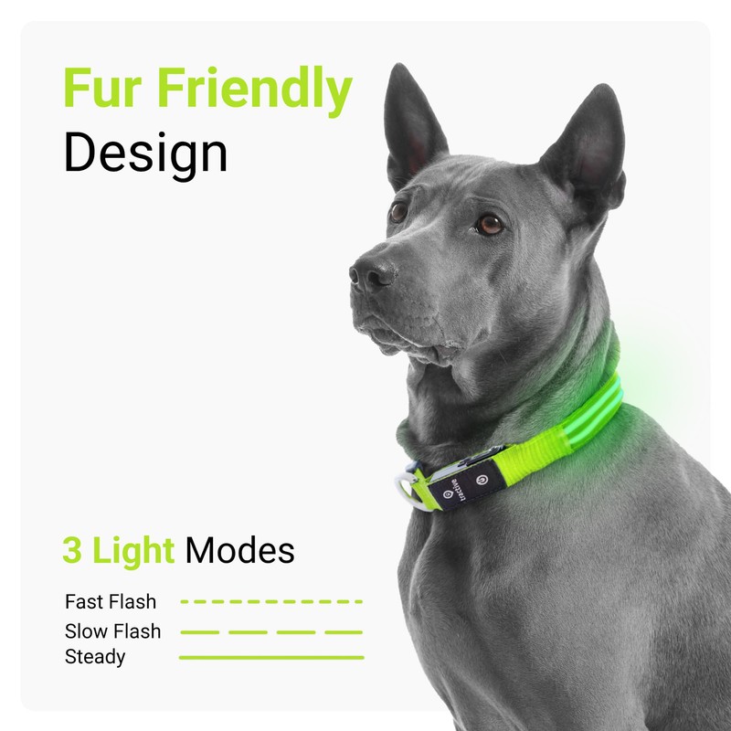 Tractive LED Light Up Dog Collar USB Rechargeable Waterproof (Green)