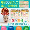 Dr. Routine's Learning Academy Bath Poster Aiueo Chart Hiragana Numbers