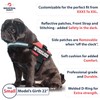 Service Dog in Training Vest with Hook and Loop Straps